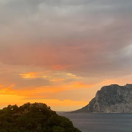 Punta Est - Bilo Zaffiro 300m Mare & Piscina * Capo Coda Cavallo