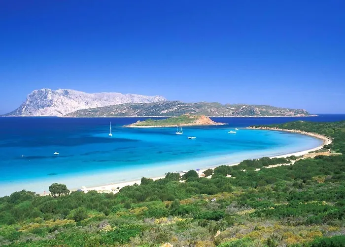 San Teodoro Punta Est Curatissimo Bilocale Apartman Capo Coda Cavallo